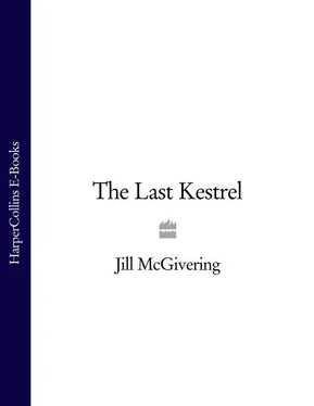 Jill McGivering The Last Kestrel обложка книги