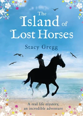 Stacy Gregg The Island of Lost Horses обложка книги