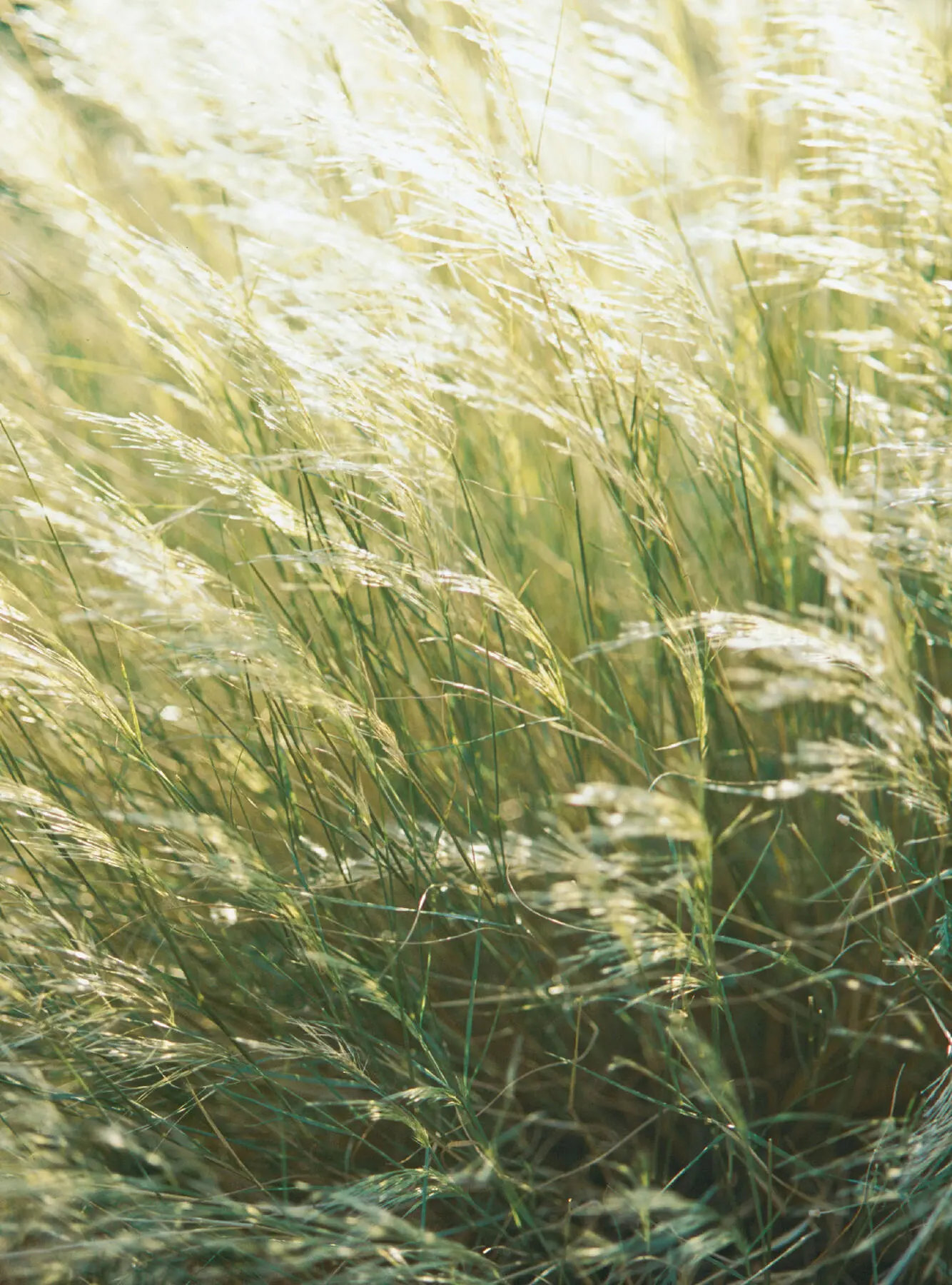 Spring Spring imbues us with renewed energy and enthusiasm and spring cooking - фото 3