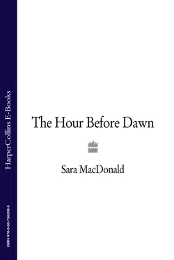 Sara MacDonald The Hour Before Dawn обложка книги