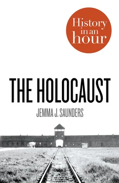 Jemma Saunders The Holocaust: History in an Hour обложка книги