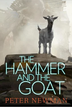 Peter Newman The Hammer and the Goat обложка книги