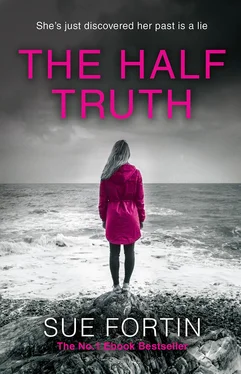 Sue Fortin The Half Truth обложка книги