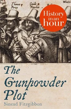 Sinead Fitzgibbon The Gunpowder Plot: History in an Hour обложка книги