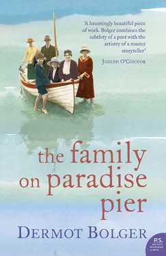 Dermot Bolger The Family on Paradise Pier обложка книги