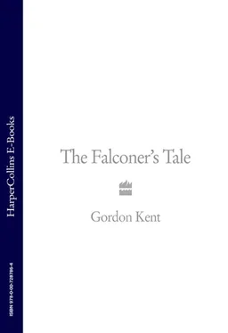 Gordon Kent The Falconer’s Tale обложка книги