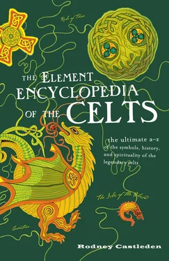 Rodney Castleden The Element Encyclopedia of the Celts обложка книги