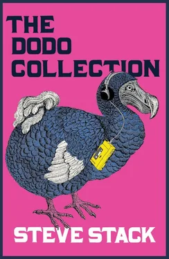 Steve Stack The Dodo Collection обложка книги