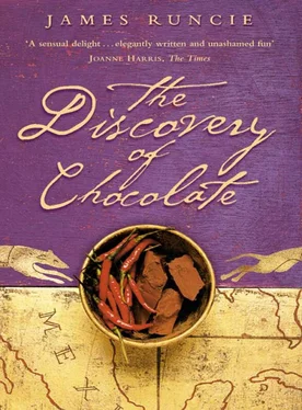 James Runcie The Discovery of Chocolate: A Novel обложка книги