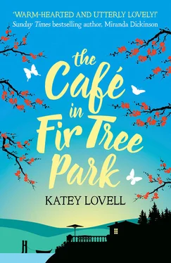 Katey Lovell The Café in Fir Tree Park обложка книги