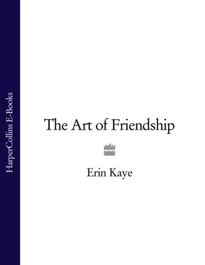 Erin Kaye The Art of Friendship обложка книги