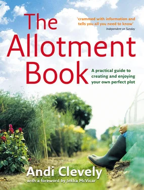 Andi Clevely The Allotment Book обложка книги