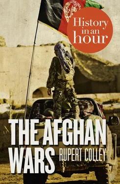 Rupert Colley The Afghan Wars: History in an Hour обложка книги