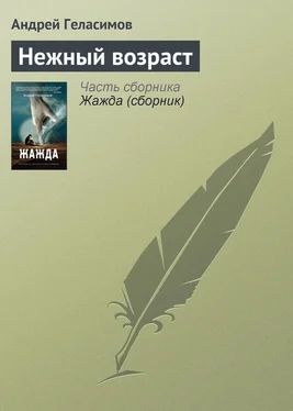 Андрей Геласимов Нежный возраст обложка книги