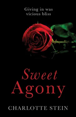 Charlotte Stein Sweet Agony обложка книги