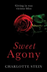 Charlotte Stein - Sweet Agony