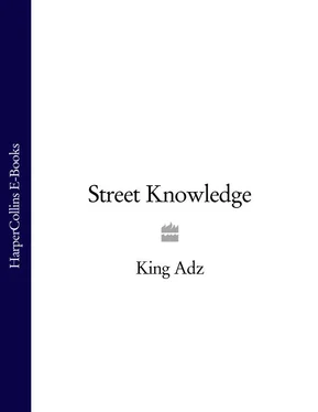 King ADZ Street Knowledge обложка книги
