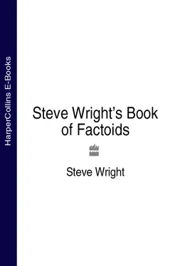 Steve Wright Steve Wright’s Book of Factoids обложка книги