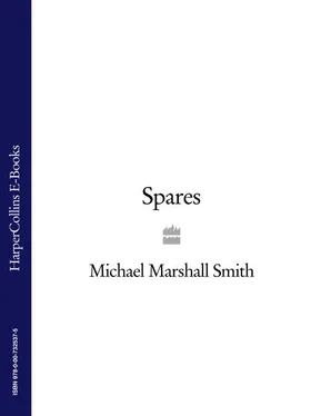 Michael Smith Spares обложка книги