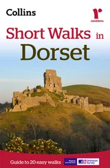 Collins Maps - Short Walks in Dorset