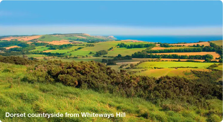 The county has a long history of human settlement Cave dwellers lived in the - фото 3