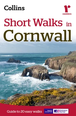 Collins Maps Short Walks in Cornwall обложка книги