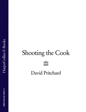 David Pritchard Shooting the Cook обложка книги