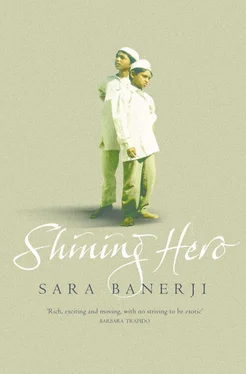Sara Banerji Shining Hero обложка книги