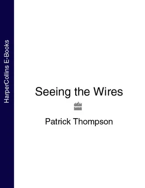 Patrick Thompson Seeing the Wires обложка книги