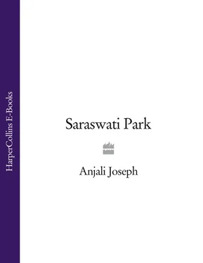 Anjali Joseph Saraswati Park обложка книги