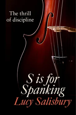 Lucy Salisbury S is for Spanking обложка книги