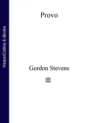 Gordon Stevens - Provo