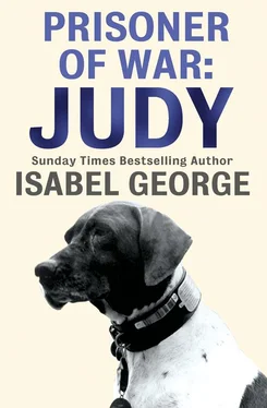 Isabel George Prisoner of War: Judy обложка книги