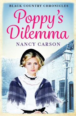 Nancy Carson Poppy’s Dilemma обложка книги