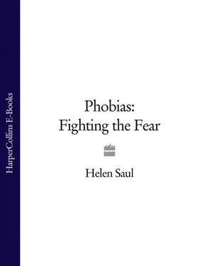 Helen Saul Phobias: Fighting the Fear обложка книги
