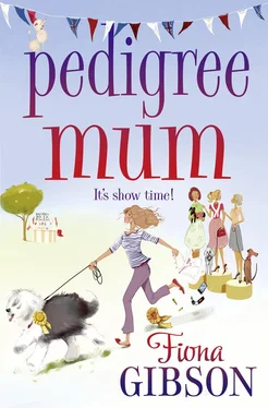 Fiona Gibson Pedigree Mum обложка книги