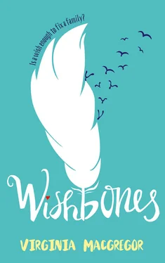 Virginia Macgregor Wishbones обложка книги