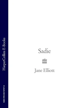 Jane Elliott Sadie обложка книги