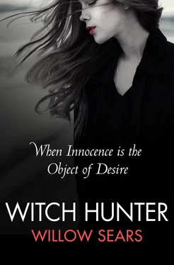 Willow Sears Witch Hunter обложка книги