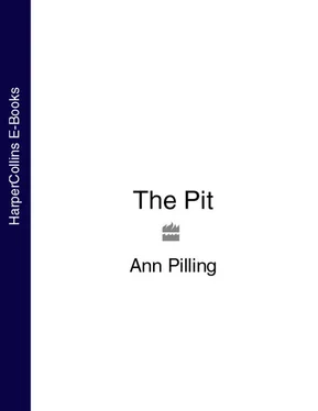 Ann Pilling The Pit обложка книги