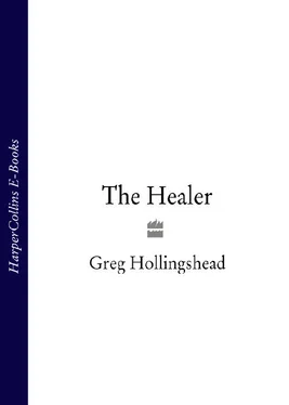 Greg Hollingshead The Healer обложка книги