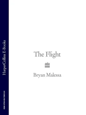 Bryan Malessa The Flight обложка книги