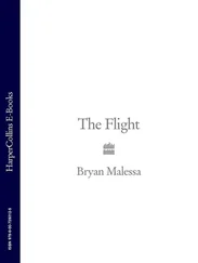 Bryan Malessa - The Flight