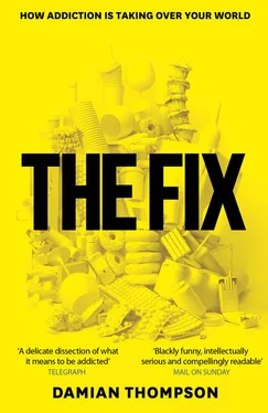 Damian Thompson The Fix обложка книги