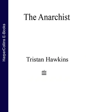 Tristan Hawkins The Anarchist обложка книги