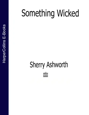 Sherry Ashworth Something Wicked обложка книги