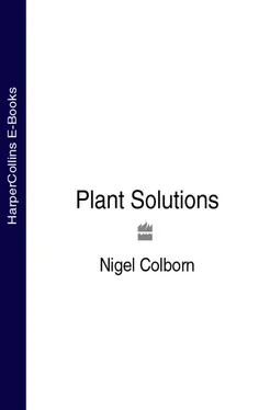 Nigel Colborn Plant Solutions обложка книги
