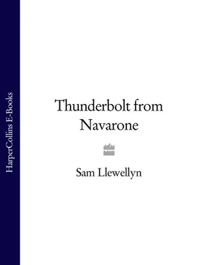 Sam Llewellyn Thunderbolt from Navarone обложка книги