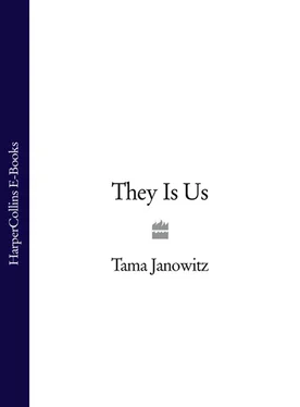 Tama Janowitz They Is Us обложка книги