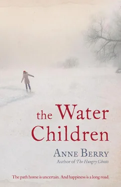 Anne Berry The Water Children обложка книги